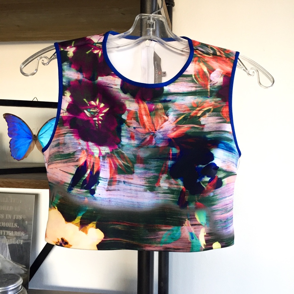 NWT Clover Canyon Floral Crop Top